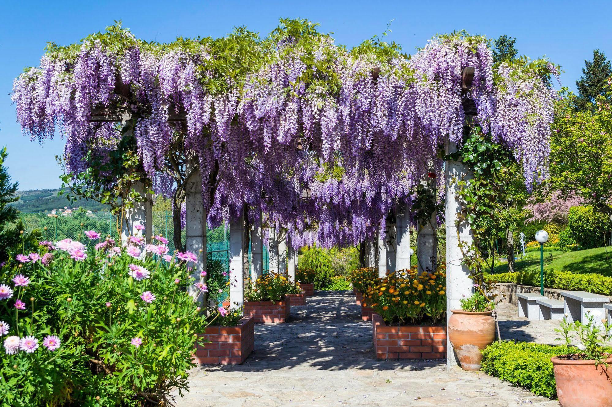 Hotel Belsol Belmonte  Dış mekan fotoğraf